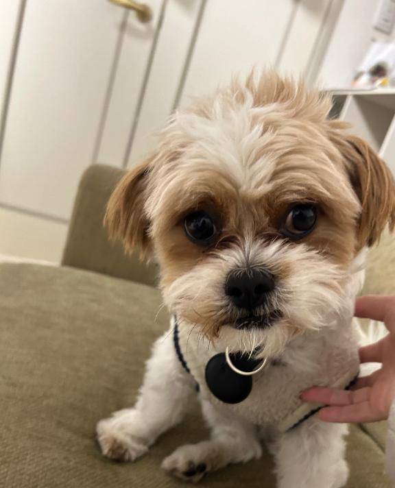 今月もありがとうございました！！