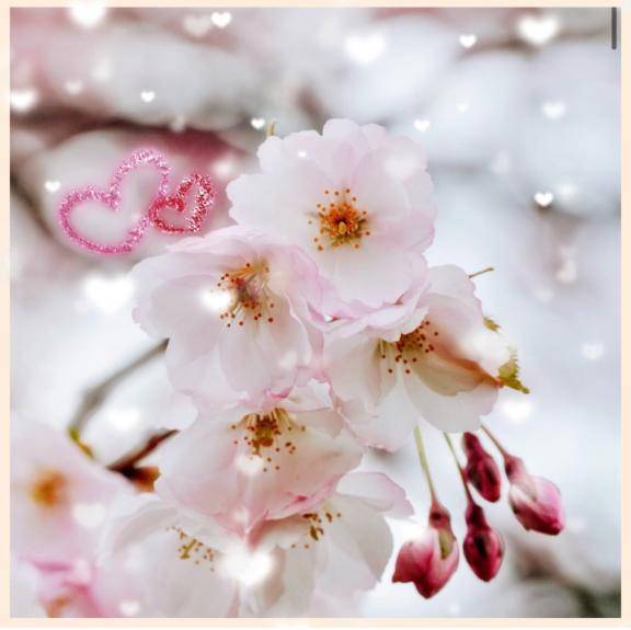 わわっ！！わんわん?！！