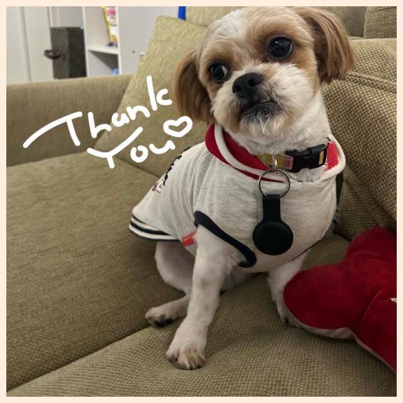 今月もありがとうございました??