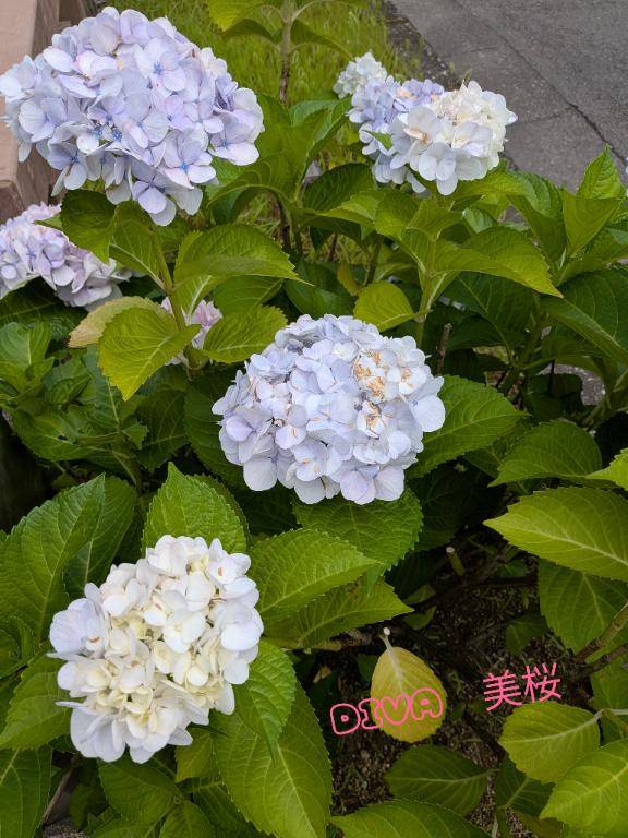 見つけたの♪