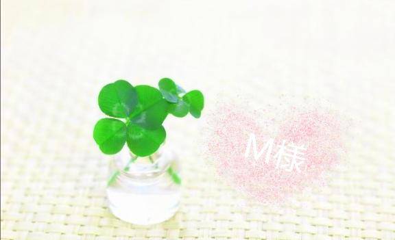 ?M様へ
