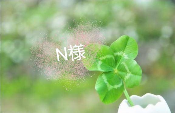 ?N様へ