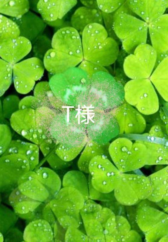 ?T様へ