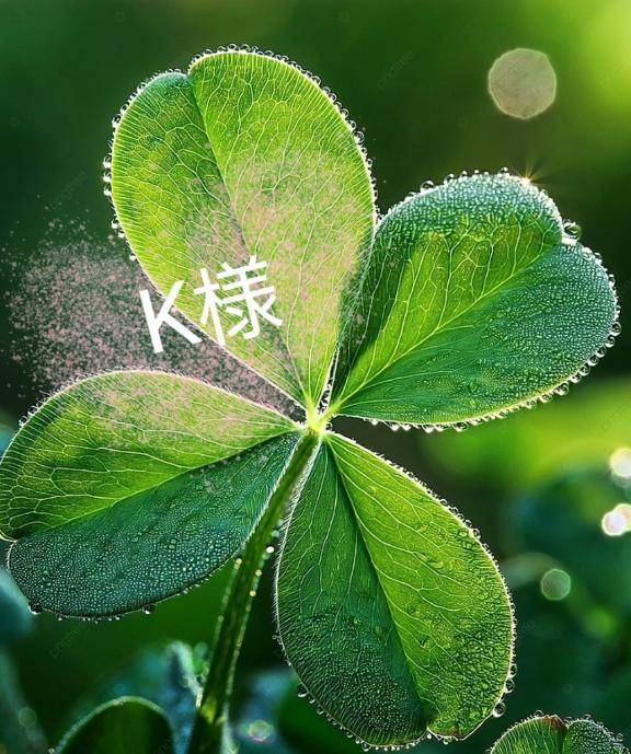 ?K様へ