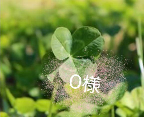 ?O様へ