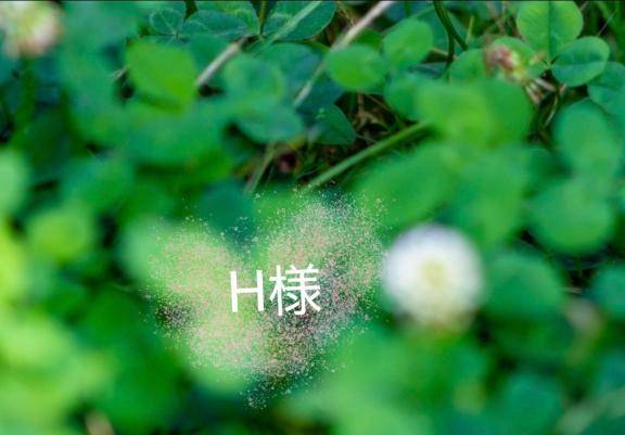 ?H様へ