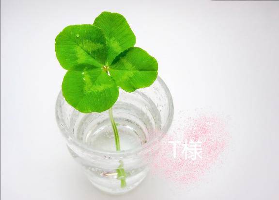 ?T様へ