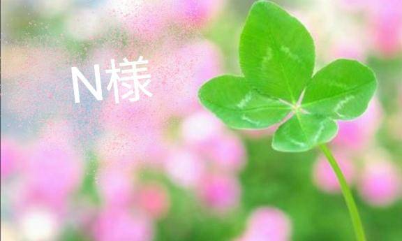 ?N様へ
