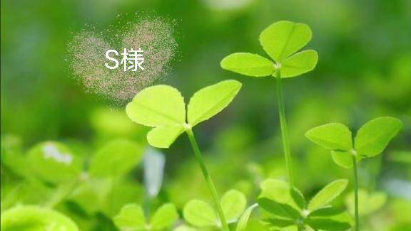 ?S様へ