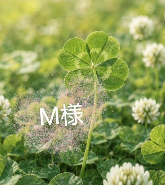 ?M様へ