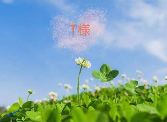 ?T様へ