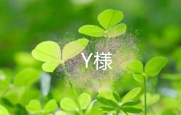 ?Y様へ