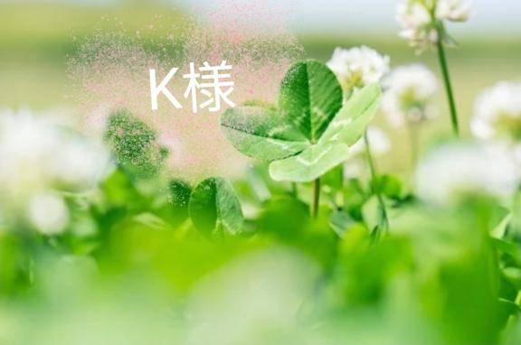 ?K様へ
