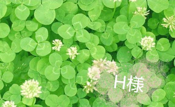 ?H様へ