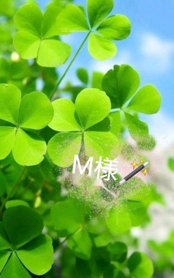 ?M様へ