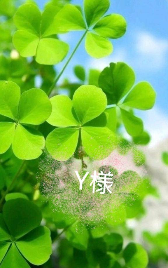 ?Y様へ