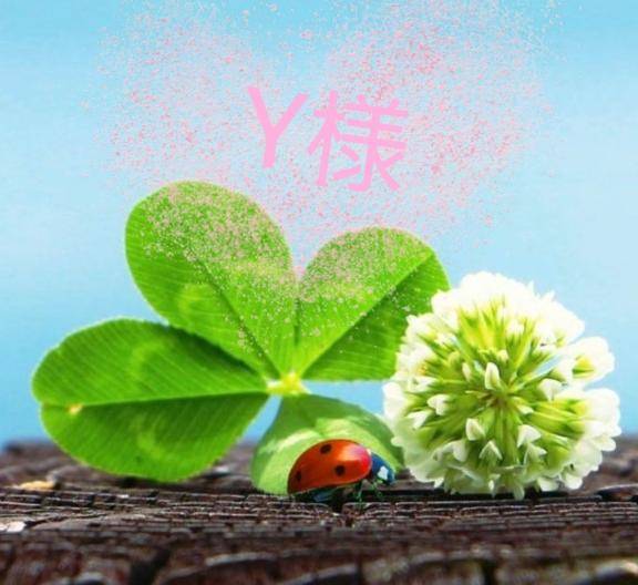?Y様へ