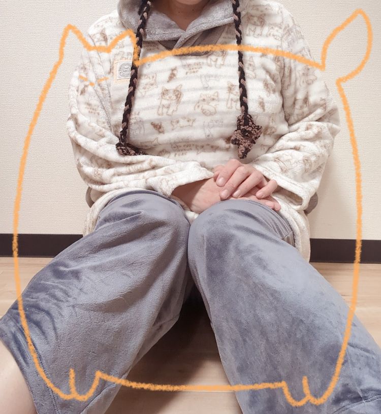 ネコの部屋着…(*ΦωΦ)