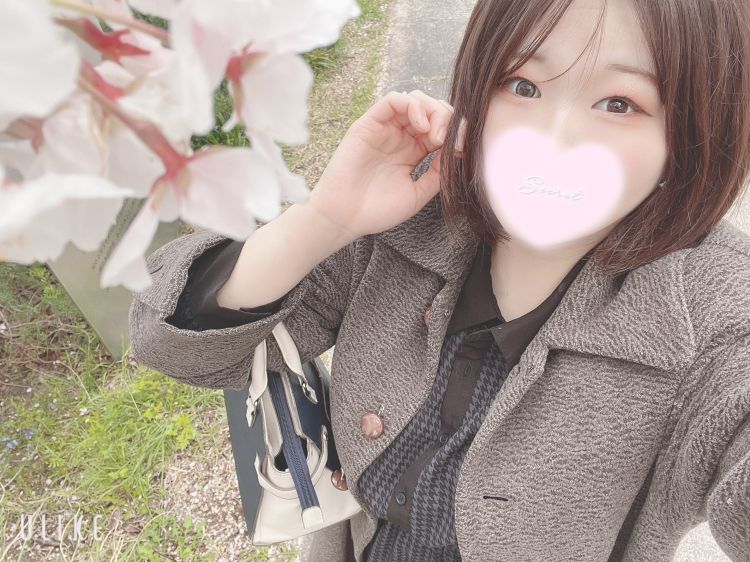 散りゆくから綺麗なんだってさ🌸