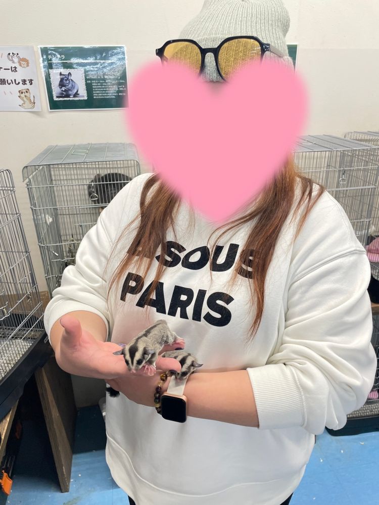 モモンガ愛でたい…♡