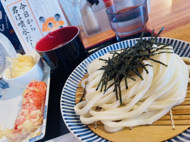 昼活🎶