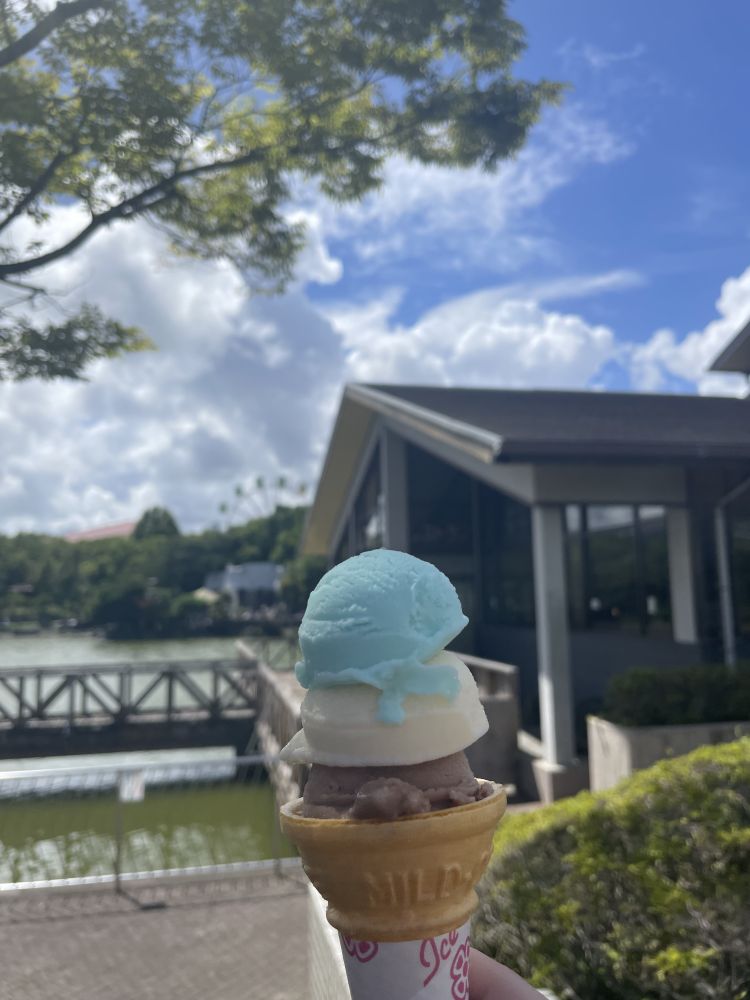 最高✨🌟✨