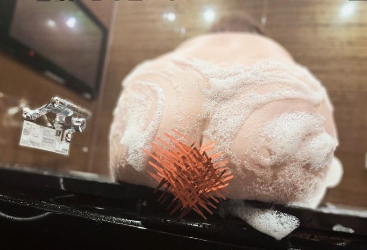 高知のご飯美味しすぎてまんまるになるど😂