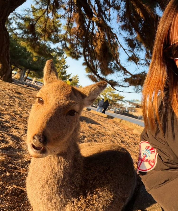 高知から広島へ5時間です🚌💨