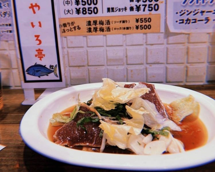 土佐の「おきゃく」初参加のご報告🐟🍶💝🧏🏼‍♀️