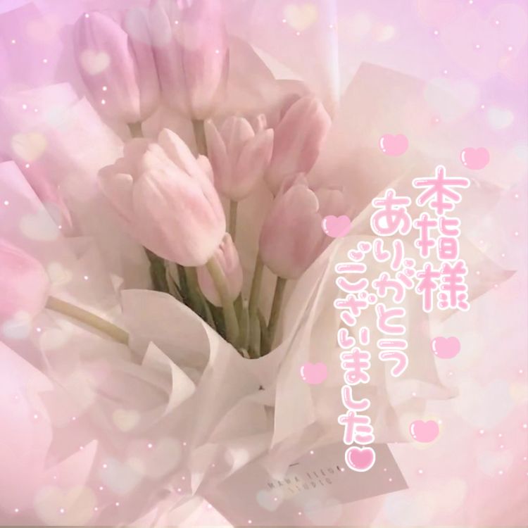 🌸 港 47 💌💭