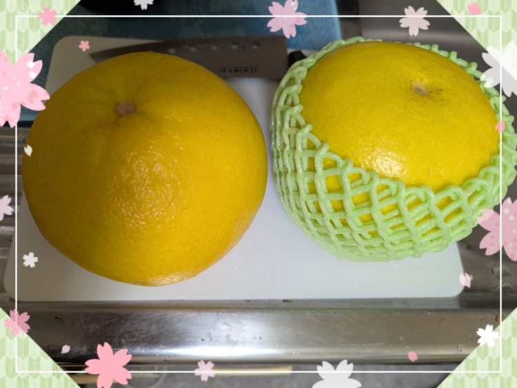 文旦食べ比べ～( ´艸｀)