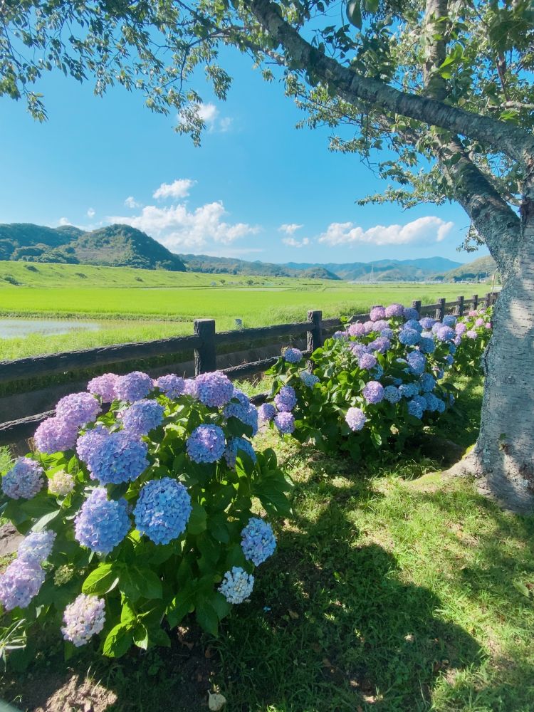 遅くなりましたが今回もありがとうございました❣️
