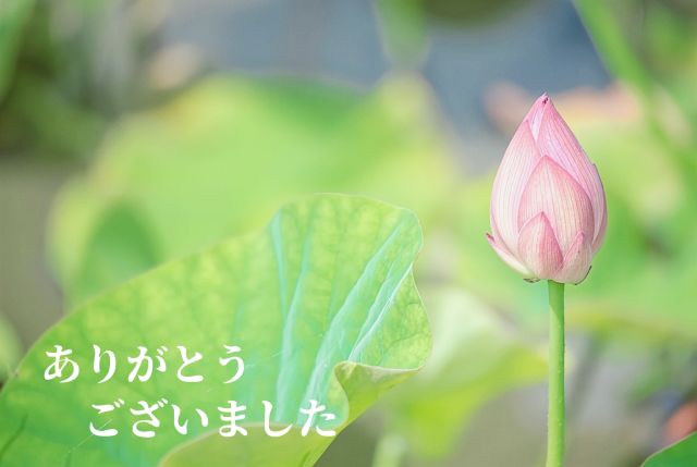 初出勤♡♡ありがとうございました