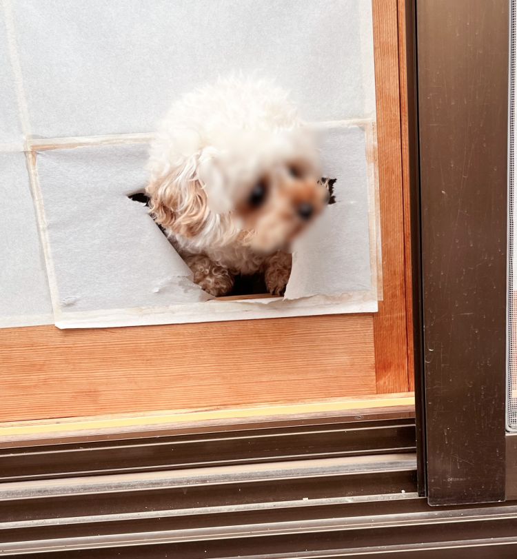 【イイ景色はいつ見てもイイ( *´艸`)】