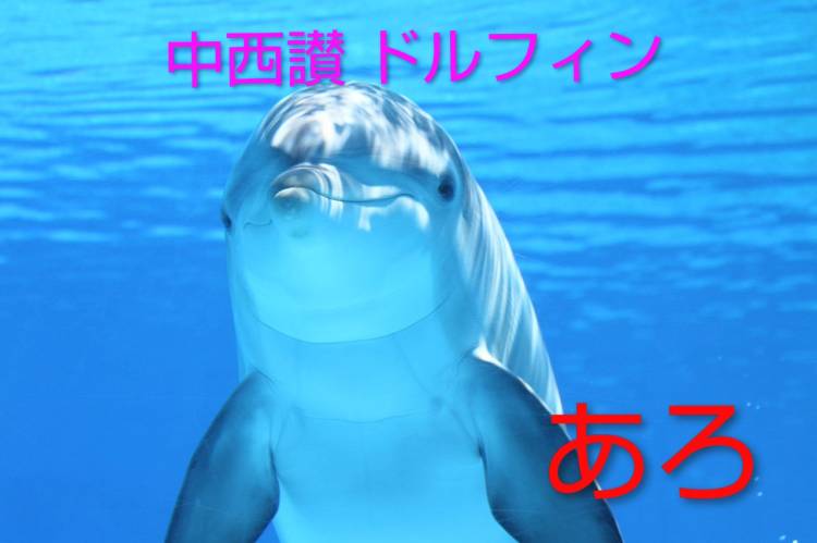 「あろ」今日のお礼です(^ ^)