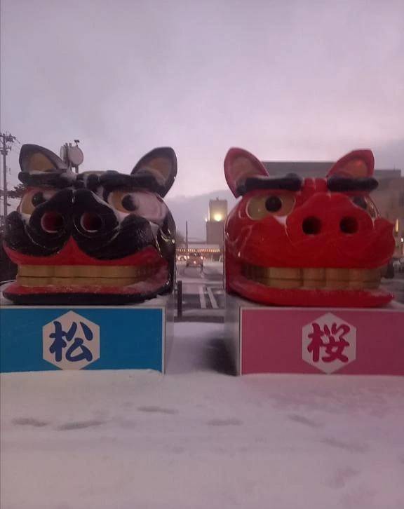 遅くなりましたが🐱