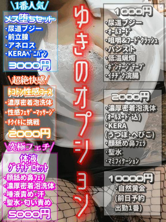 有料オプションのご案内