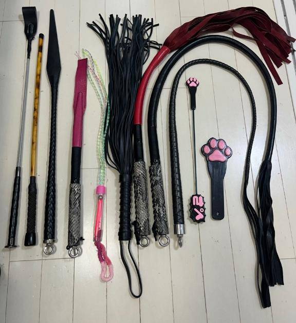 鞭コレクション