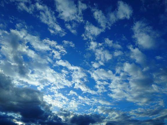 ゆず（エプロンレディー）