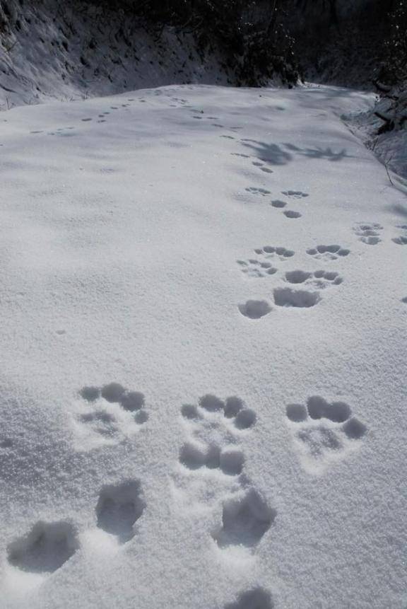 ????? ??? ??"(*´?`*)?