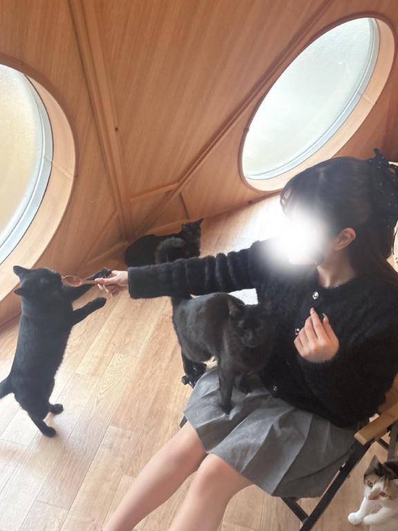 変わったよ〜！