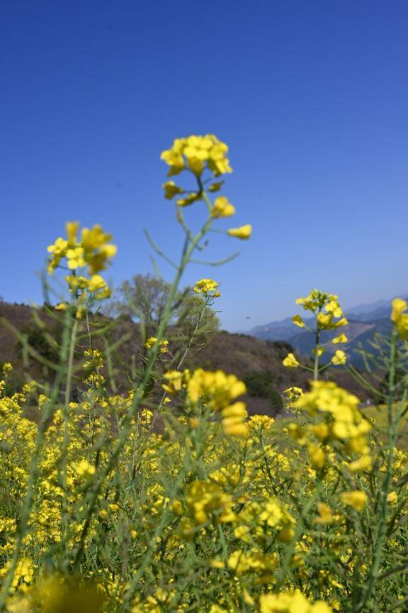 𝕋𝕙𝕒𝕟𝕜 𝕪𝕠𝕦 ❤︎"