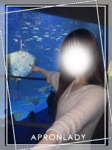 ひな（エプロンレディー）