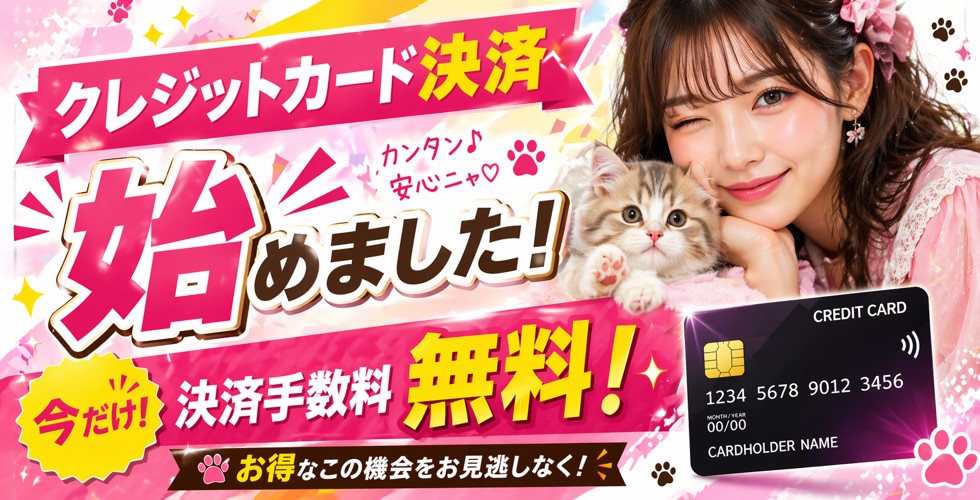 エプロンレディー（高松デリヘル）