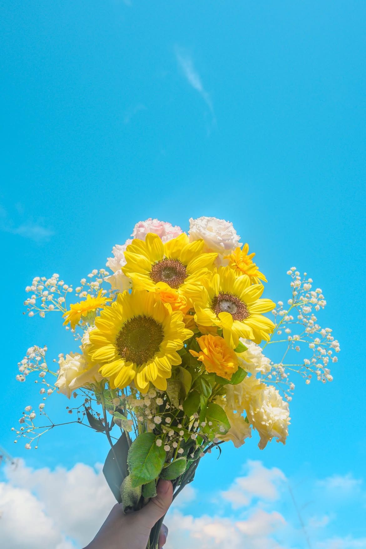 貸切💐
