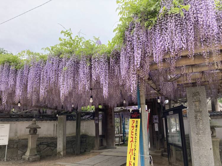 お休みに入ります🙇‍♀️