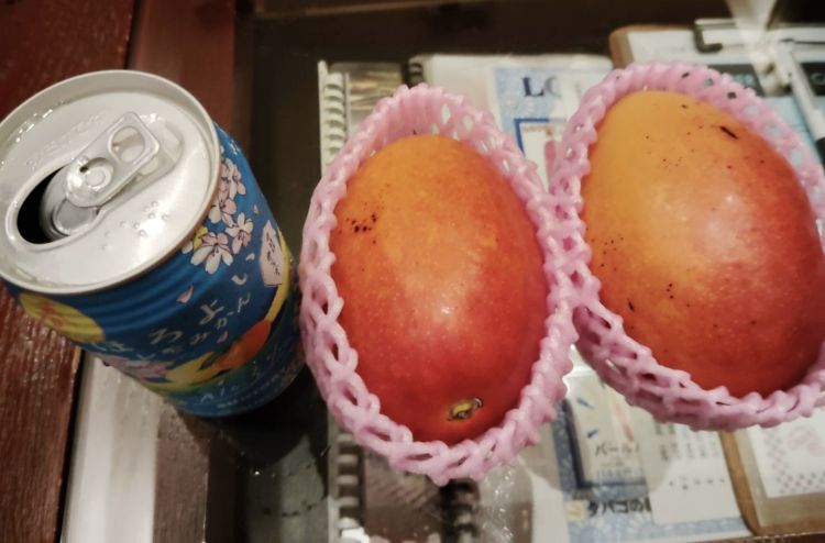 🩵オアシス