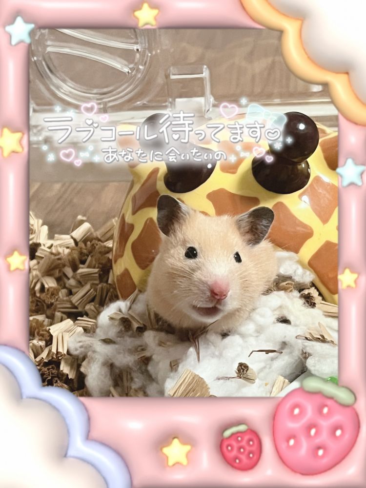 出勤🐹‎🤍