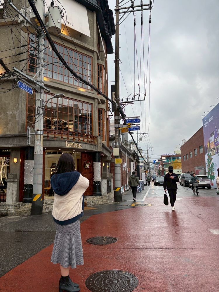 椎菜（しいな）