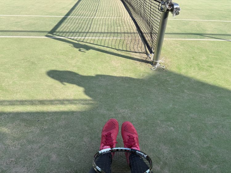 椎菜（しいな）